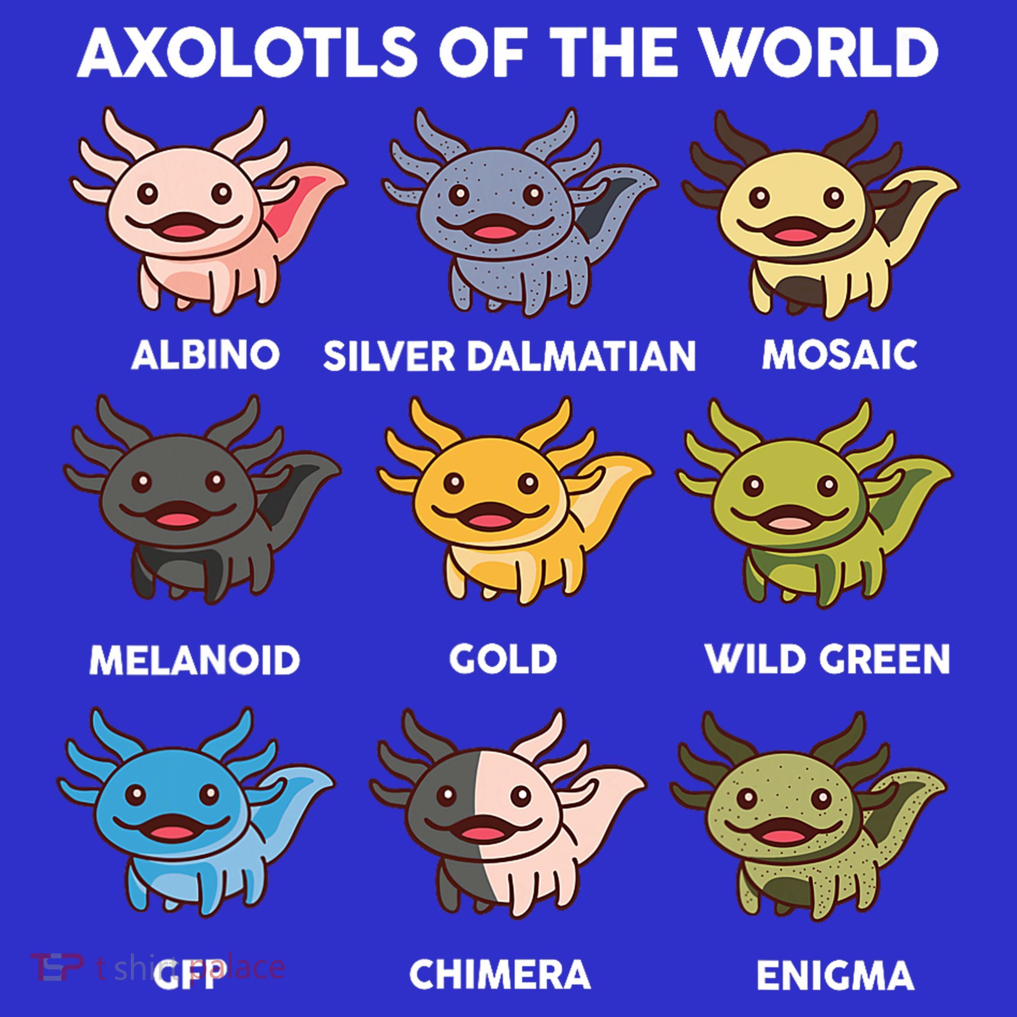  Axolotl Of World  Sweatshirt