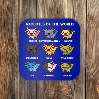  Axolotl Of World  Coaster