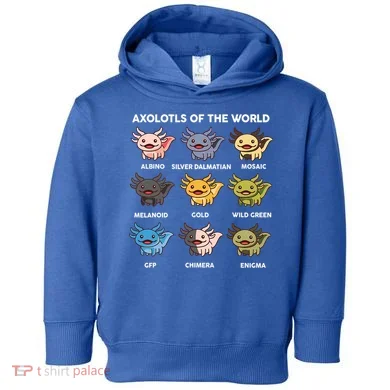Toddler Hoodie