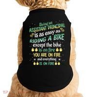 Administrative Professional Assistant Principal Teacher Funny Gift Doggie Tank thumb 0