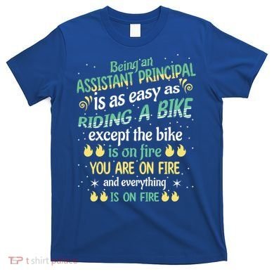 Administrative Professional Assistant Principal Teacher Funny Gift T-Shirt