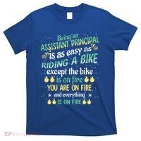 Administrative Professional Assistant Principal Teacher Funny Gift T-Shirt thumb 0