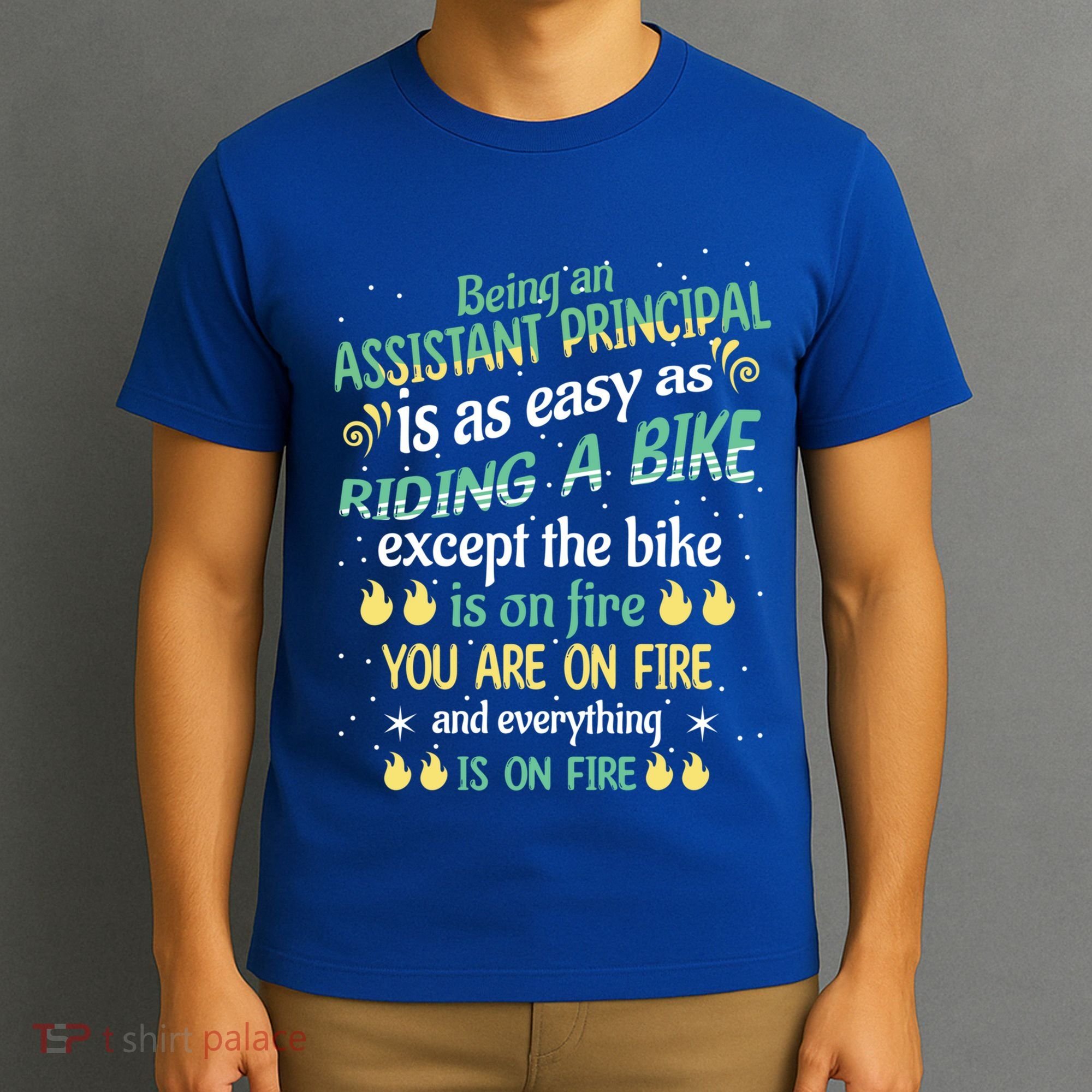 Administrative Professional Assistant Principal Teacher Funny Gift T-Shirt