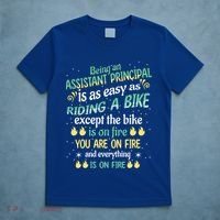 Administrative Professional Assistant Principal Teacher Funny Gift T-Shirt thumb 5