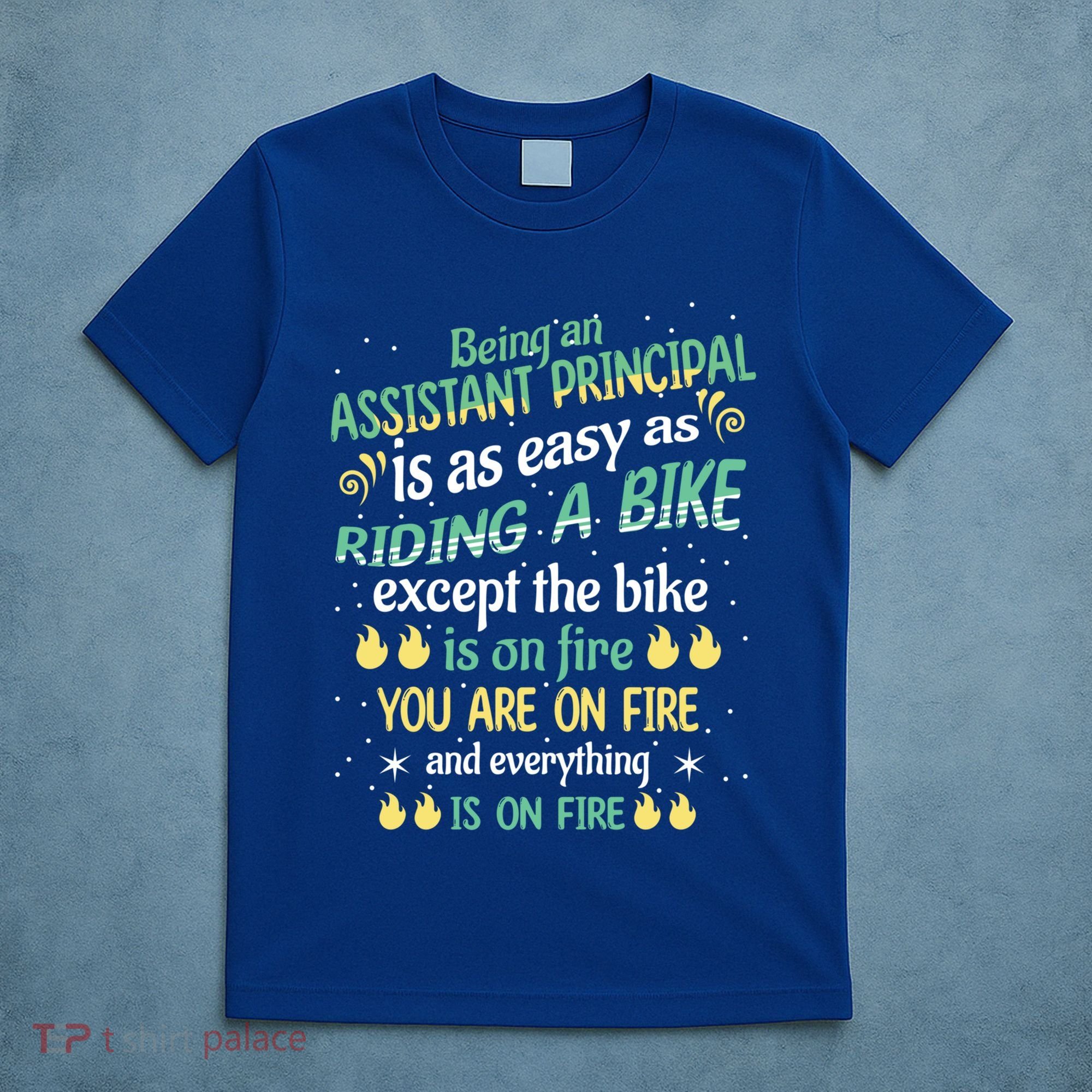 Administrative Professional Assistant Principal Teacher Funny Gift T-Shirt