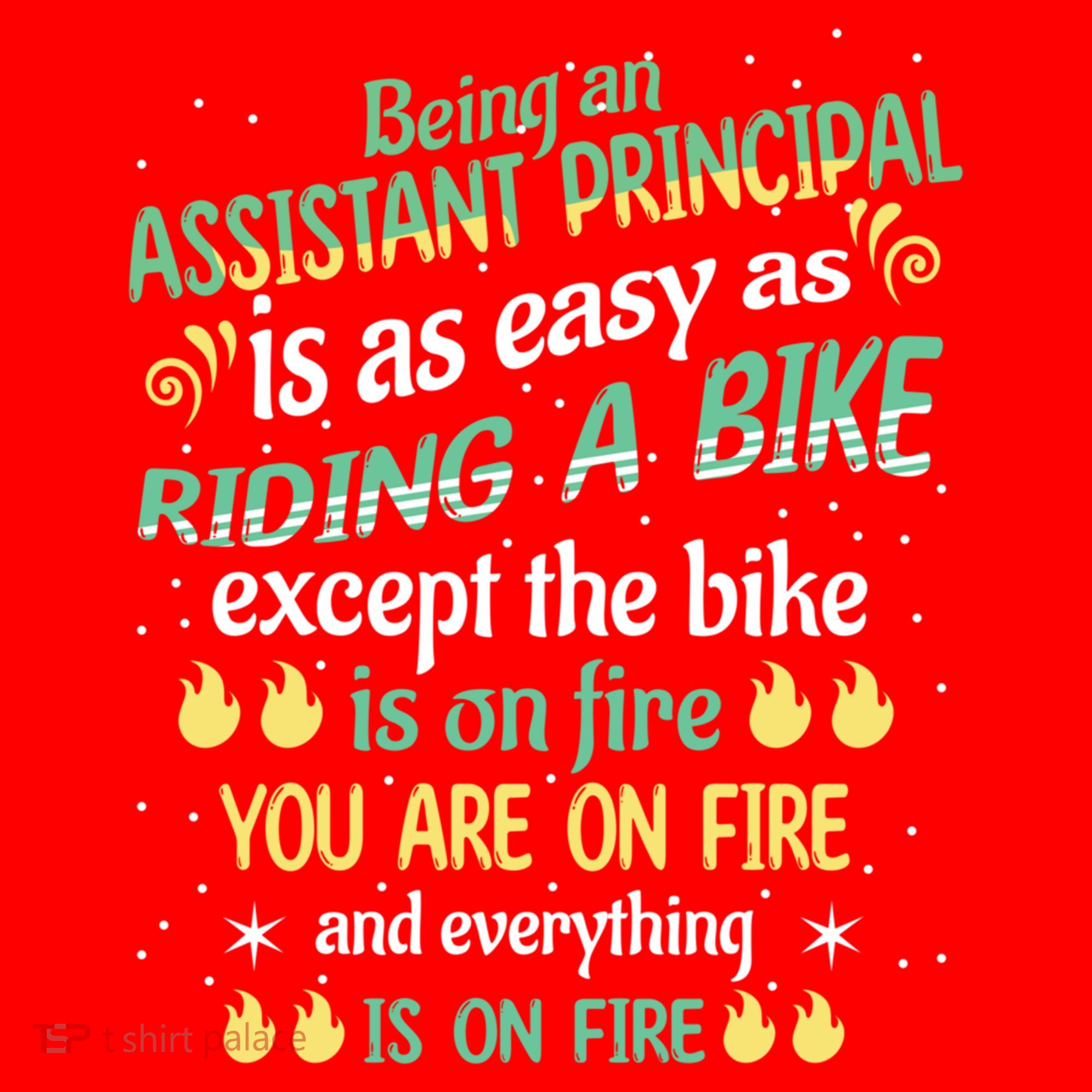 Administrative Professional Assistant Principal Teacher Funny Gift Santa Hat