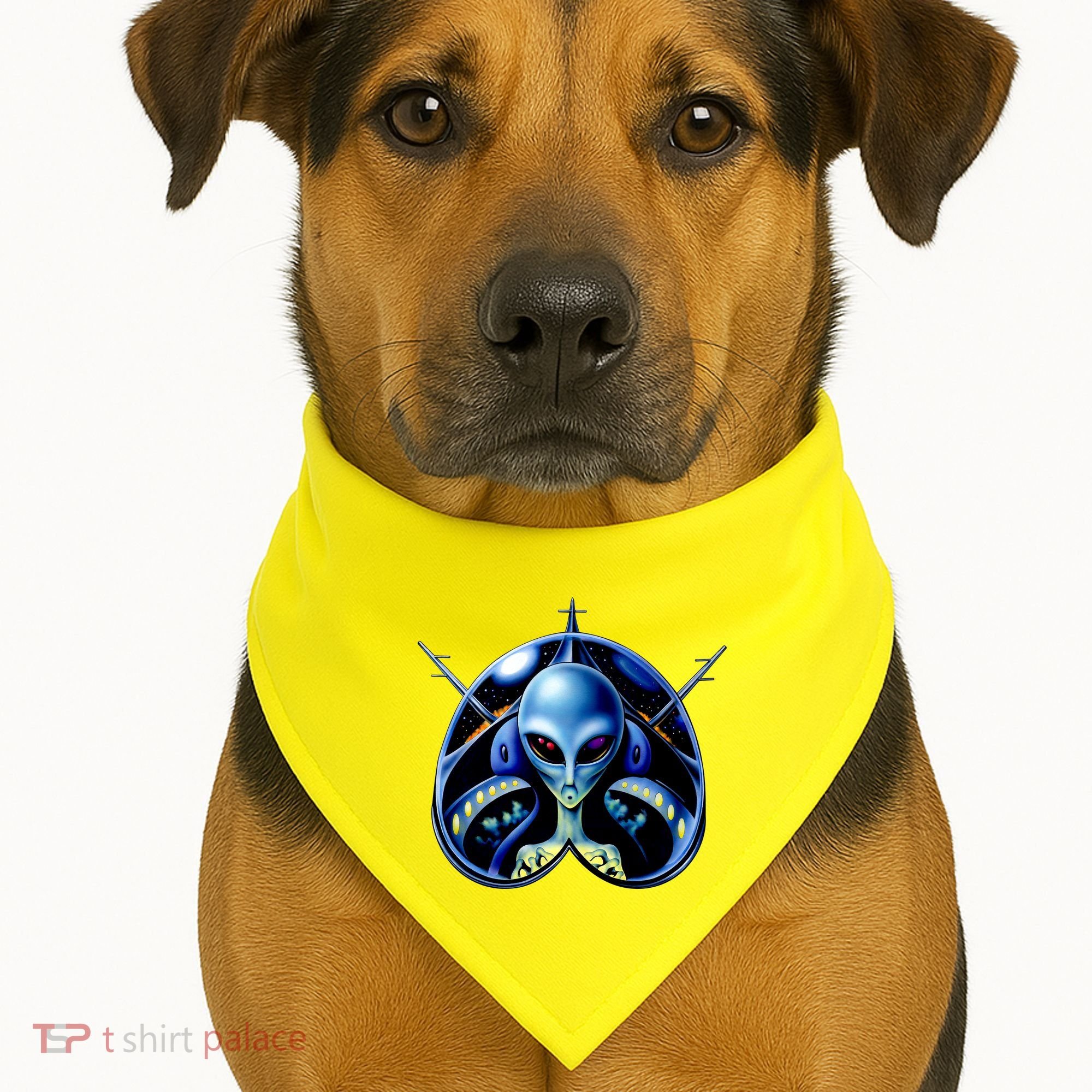 Alien Pilot USA-Made Doggie Bandana