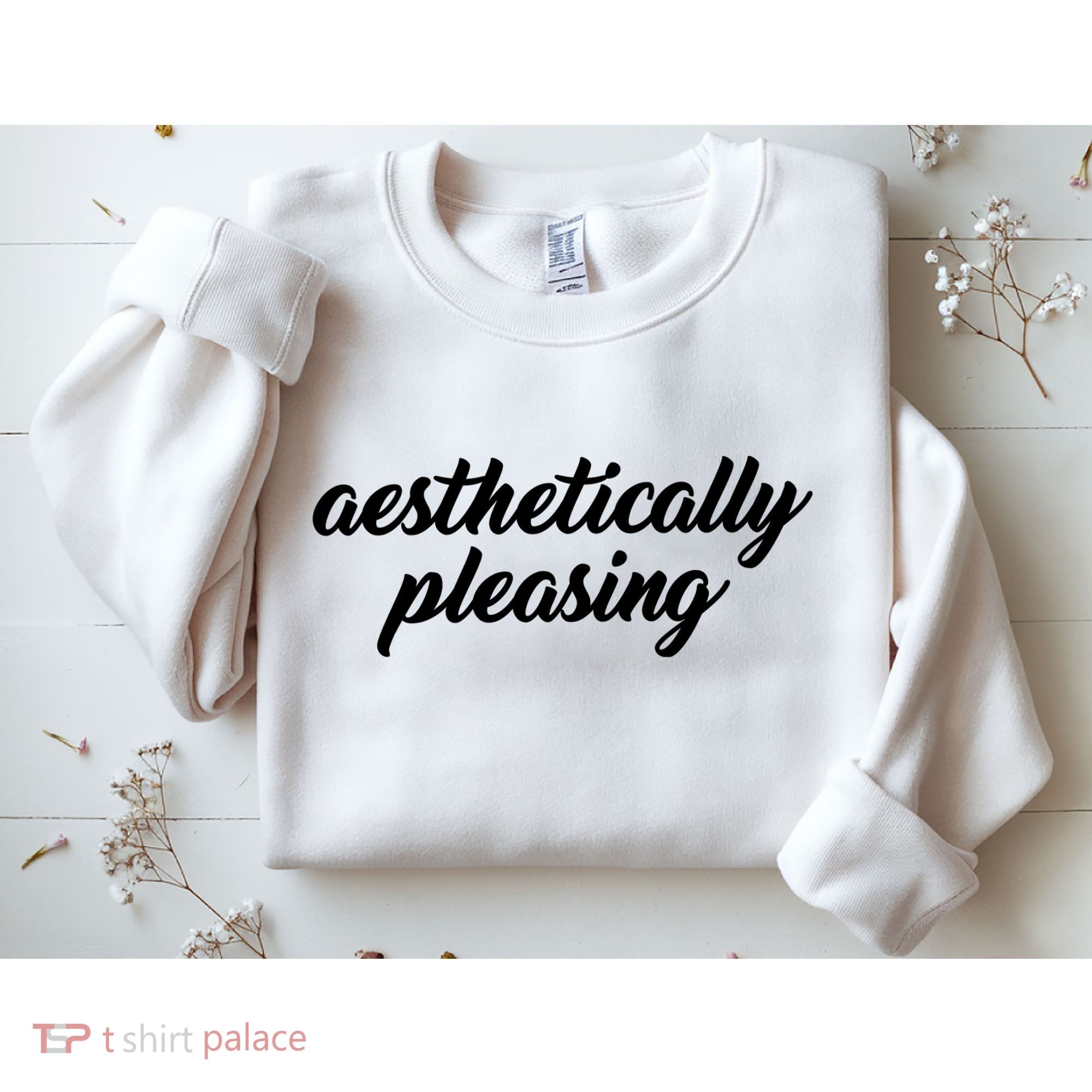 Aesthetically Pleasing Sweatshirt