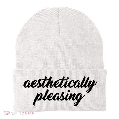 Aesthetically Pleasing Beanie