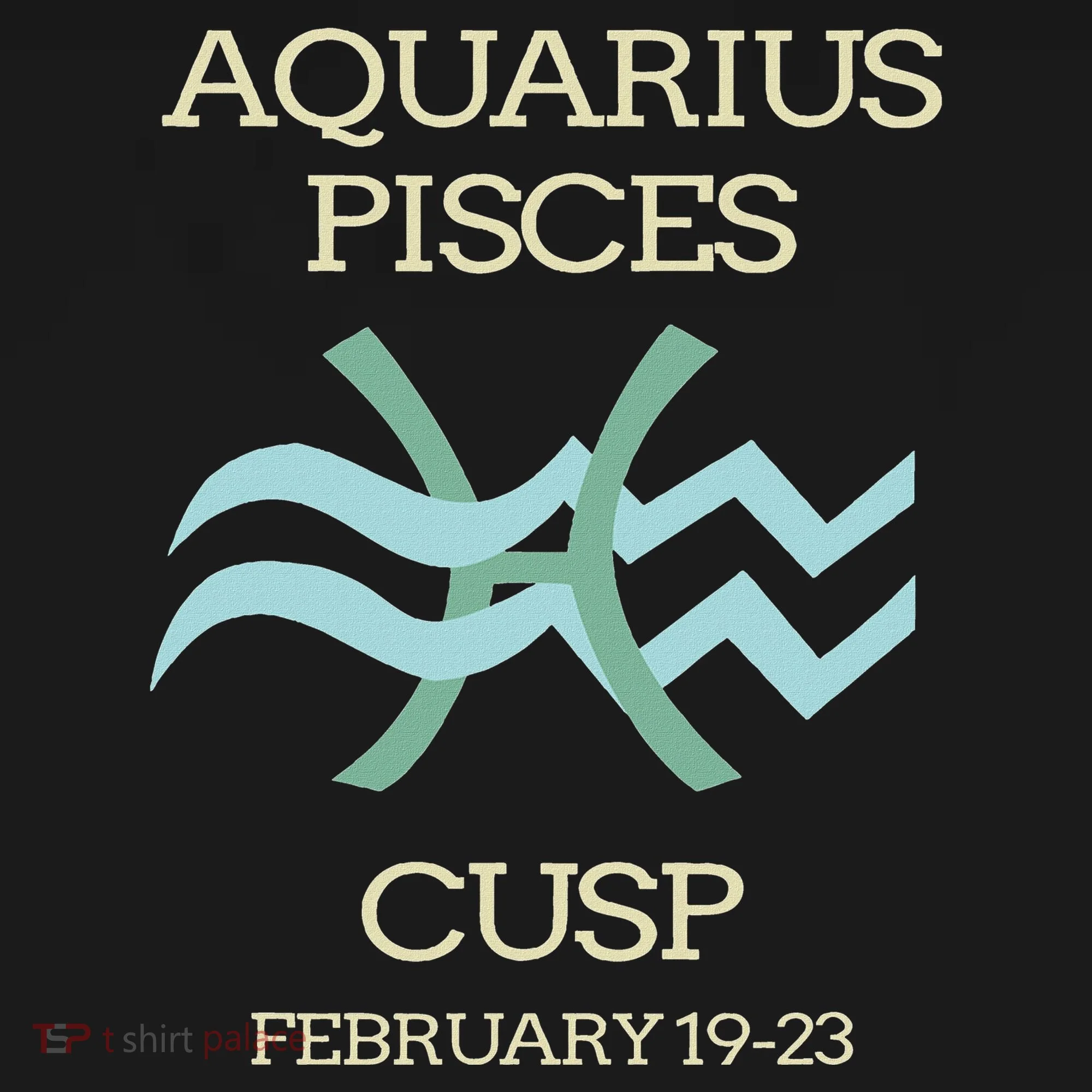 Aquarius Pisces Cusp Zodiac Horoscope Women's Hoodie