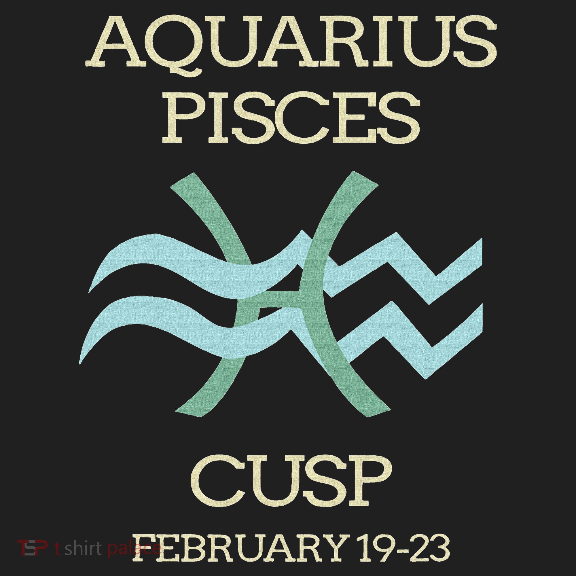 Aquarius Pisces Cusp Zodiac Horoscope Tumbler