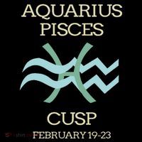 Aquarius Pisces Cusp Zodiac Horoscope Tank Top thumb 6