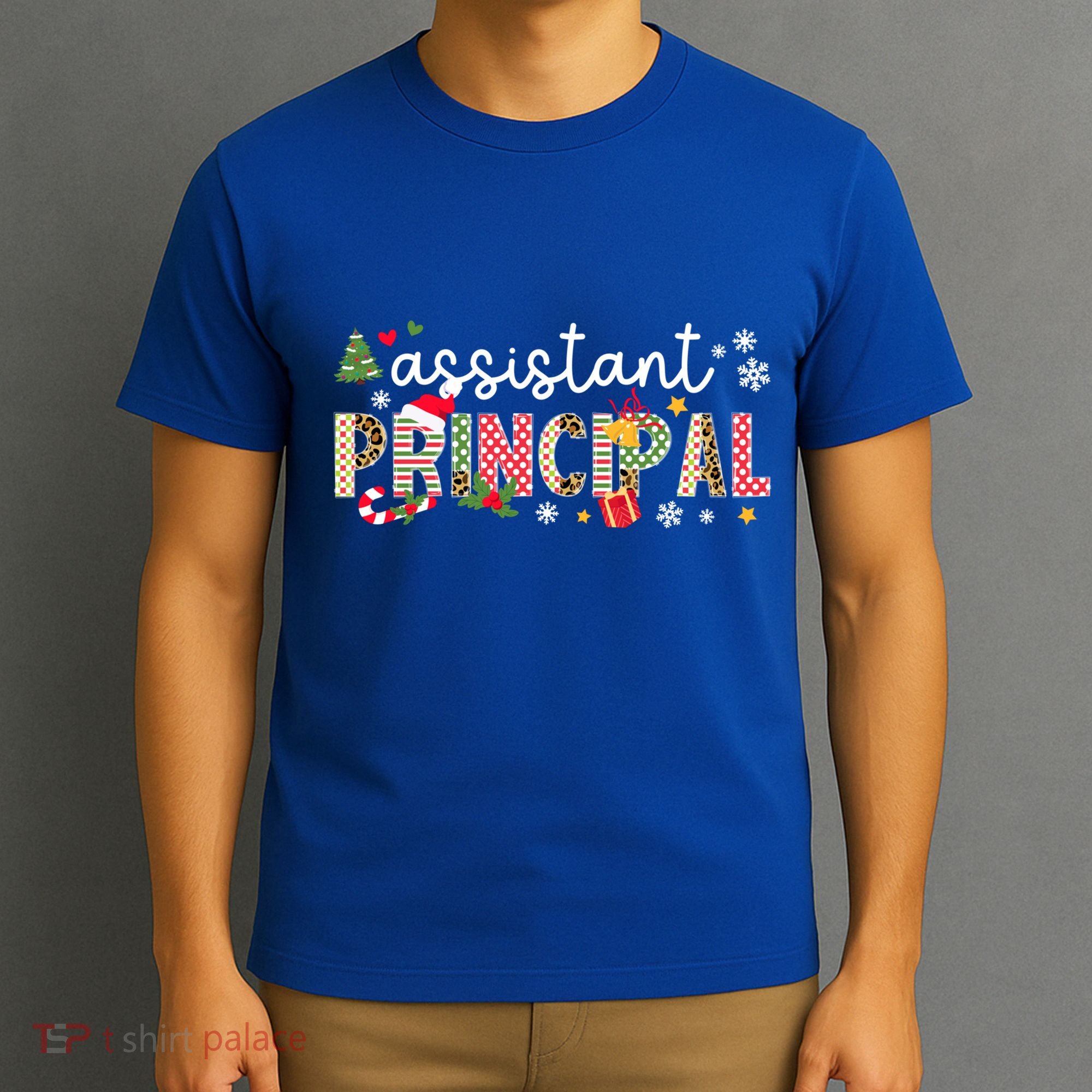 Assistant Principal Christmas Assistant Principal Xmas Gift T-Shirt