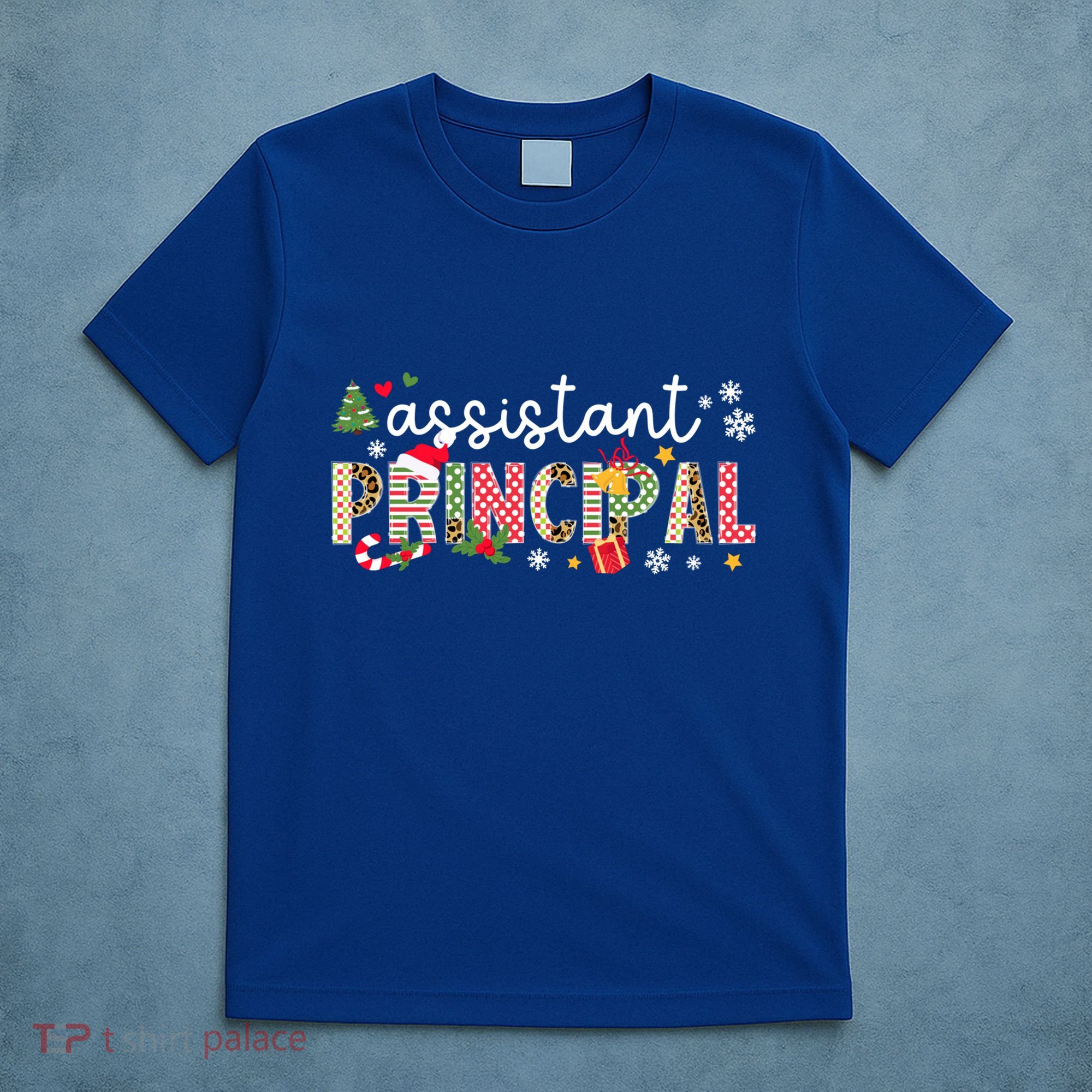Assistant Principal Christmas Assistant Principal Xmas Gift T-Shirt