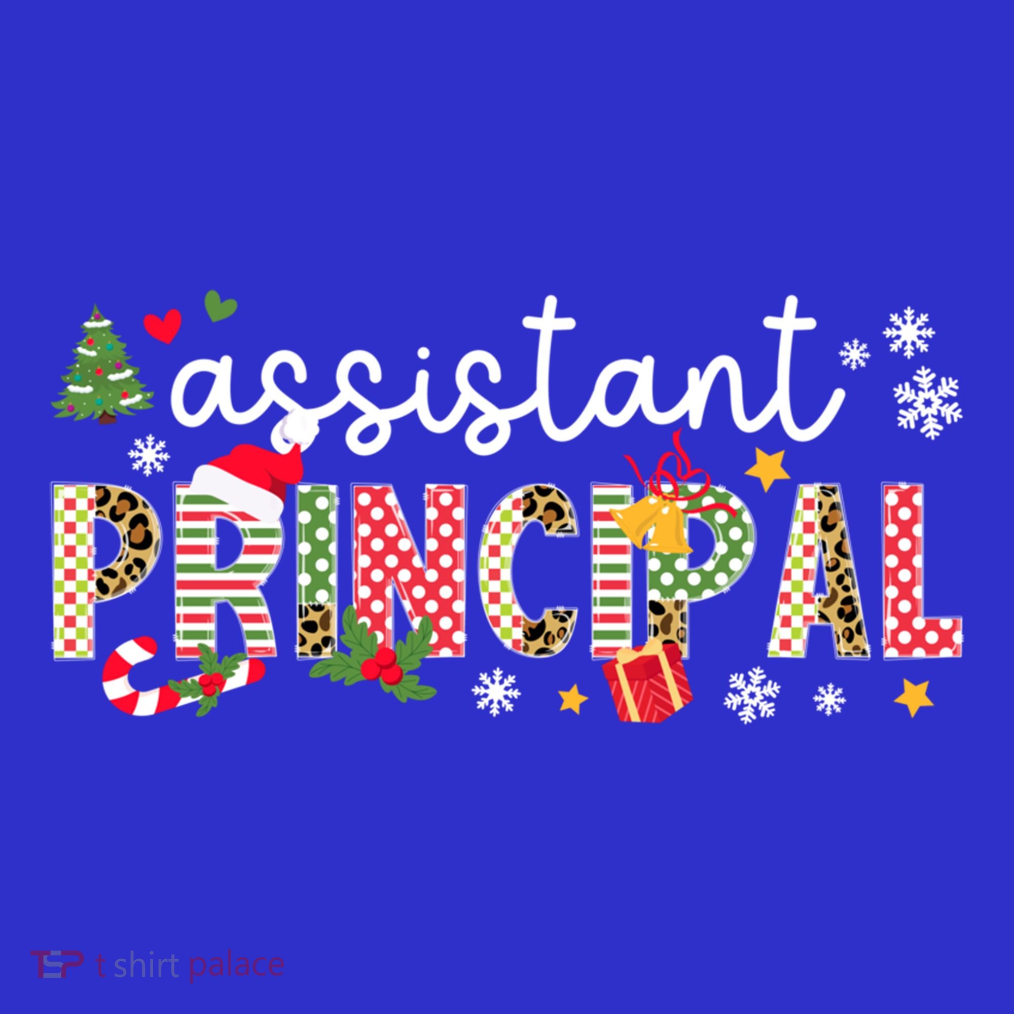 Assistant Principal Christmas Assistant Principal Xmas Gift Women's T-Shirt