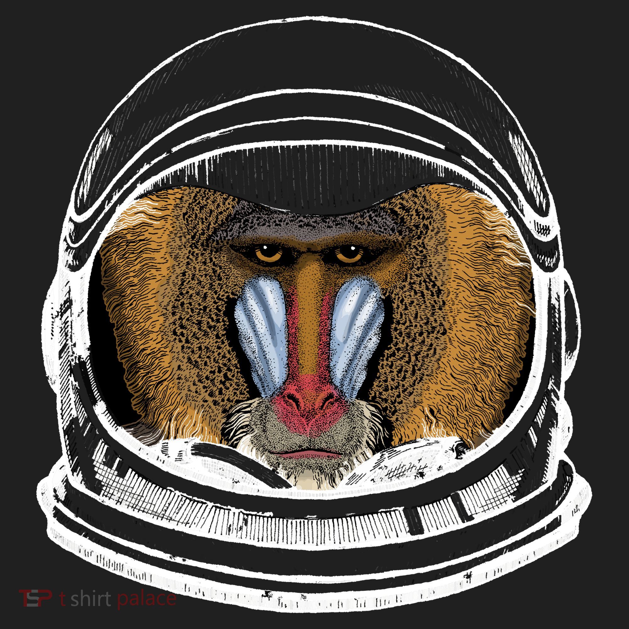 Ape Astronaut Women's Sweatshirt