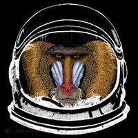 Ape Astronaut Hoodie thumb 7