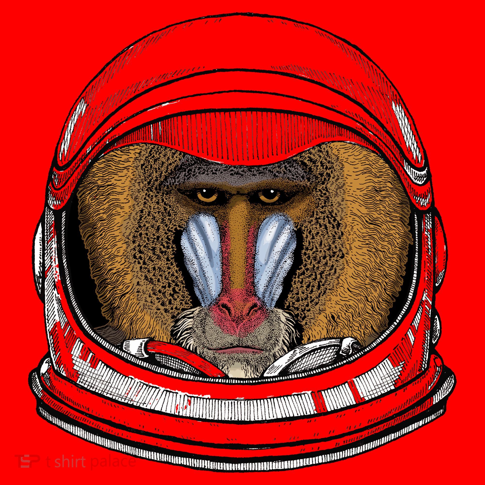 Ape Astronaut Santa Hat