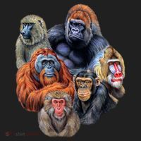 Ape Collage Women's Sweatshirt thumb 2