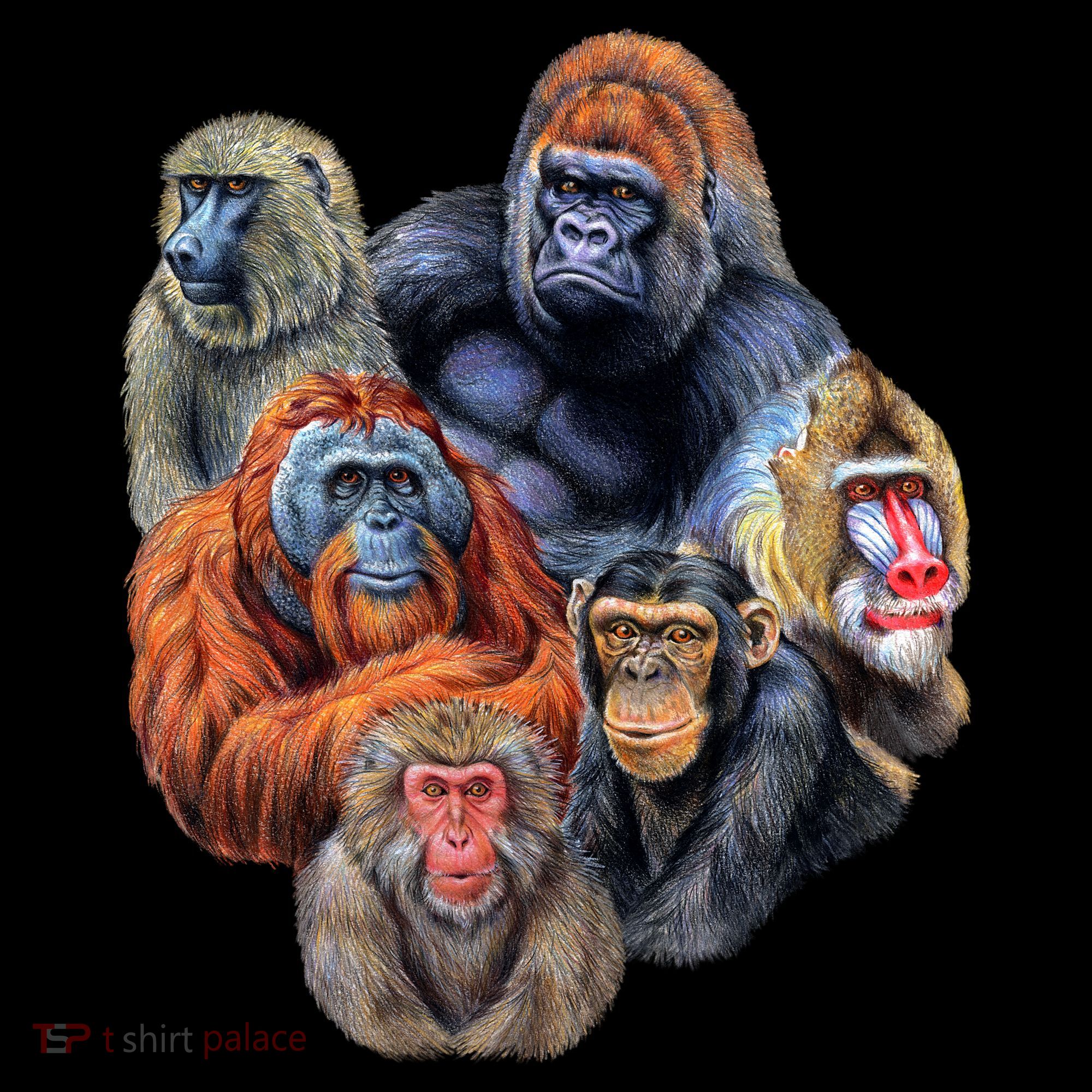 Ape Collage Women's Hoodie