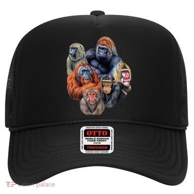 Ape Collage Hat