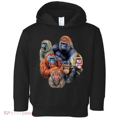 Toddler Hoodie