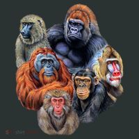 Ape Collage T-Shirt thumb 7