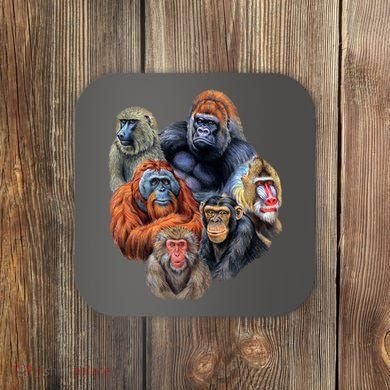 Ape Collage Coaster