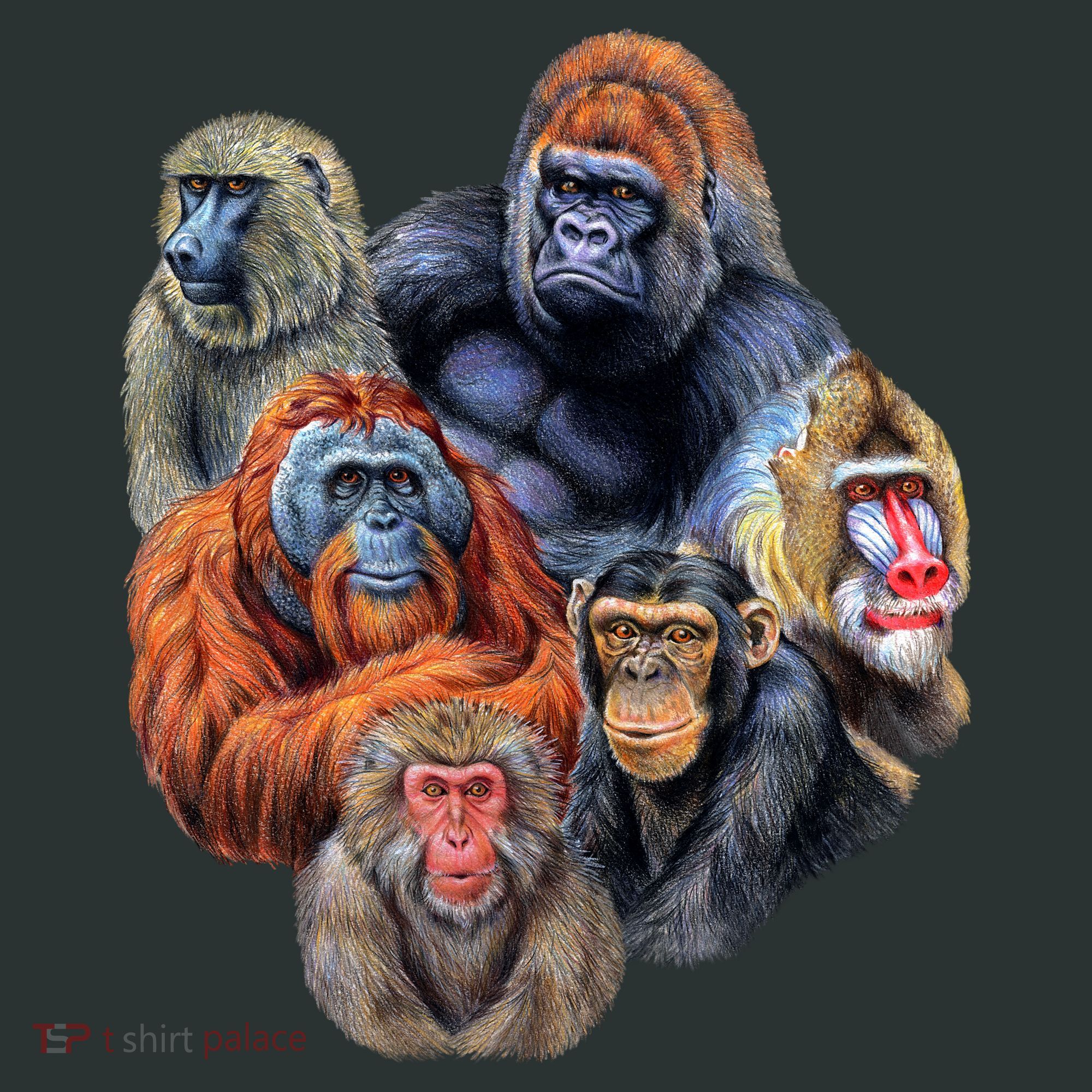 Ape Collage Pajama Set