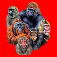 Ape Collage Santa Hat thumb 1