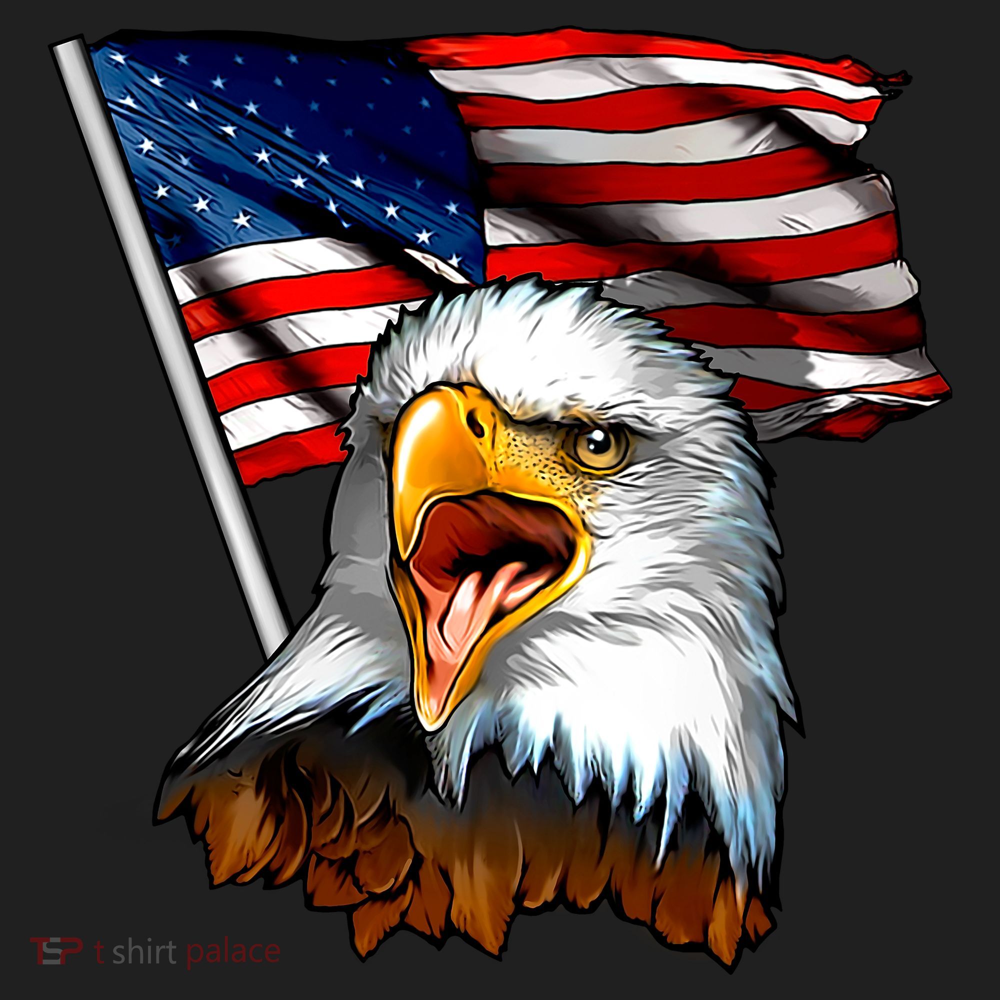 American Patriotic Eagle Flag Tumbler