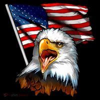American Patriotic Eagle Flag Ornament thumb 1