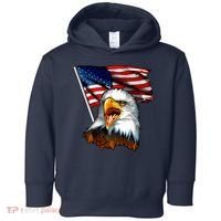 American Patriotic Eagle Flag Toddler Hoodie thumb 0