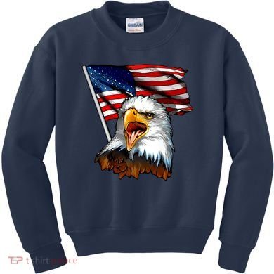 American Patriotic Eagle Flag Kids Sweatshirt