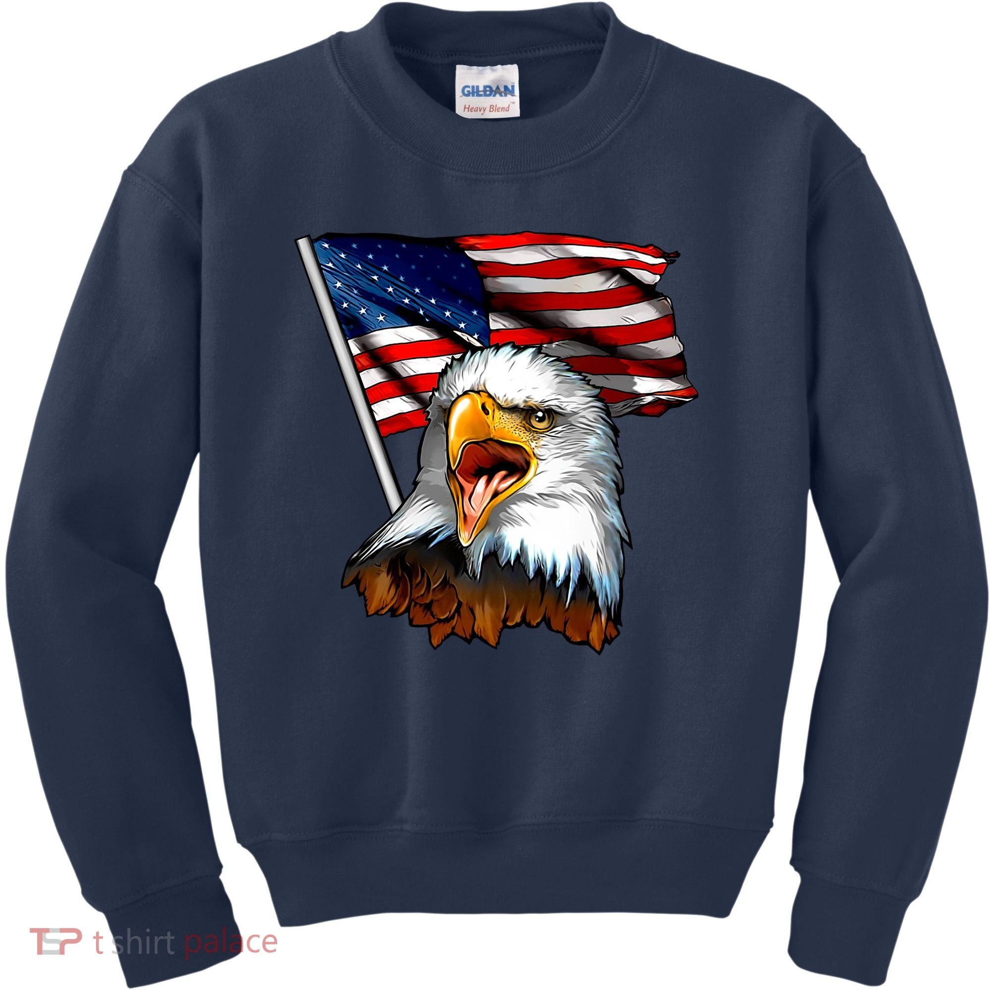 American Patriotic Eagle Flag Kids Sweatshirt