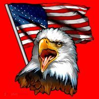 American Patriotic Eagle Flag Santa Hat thumb 1