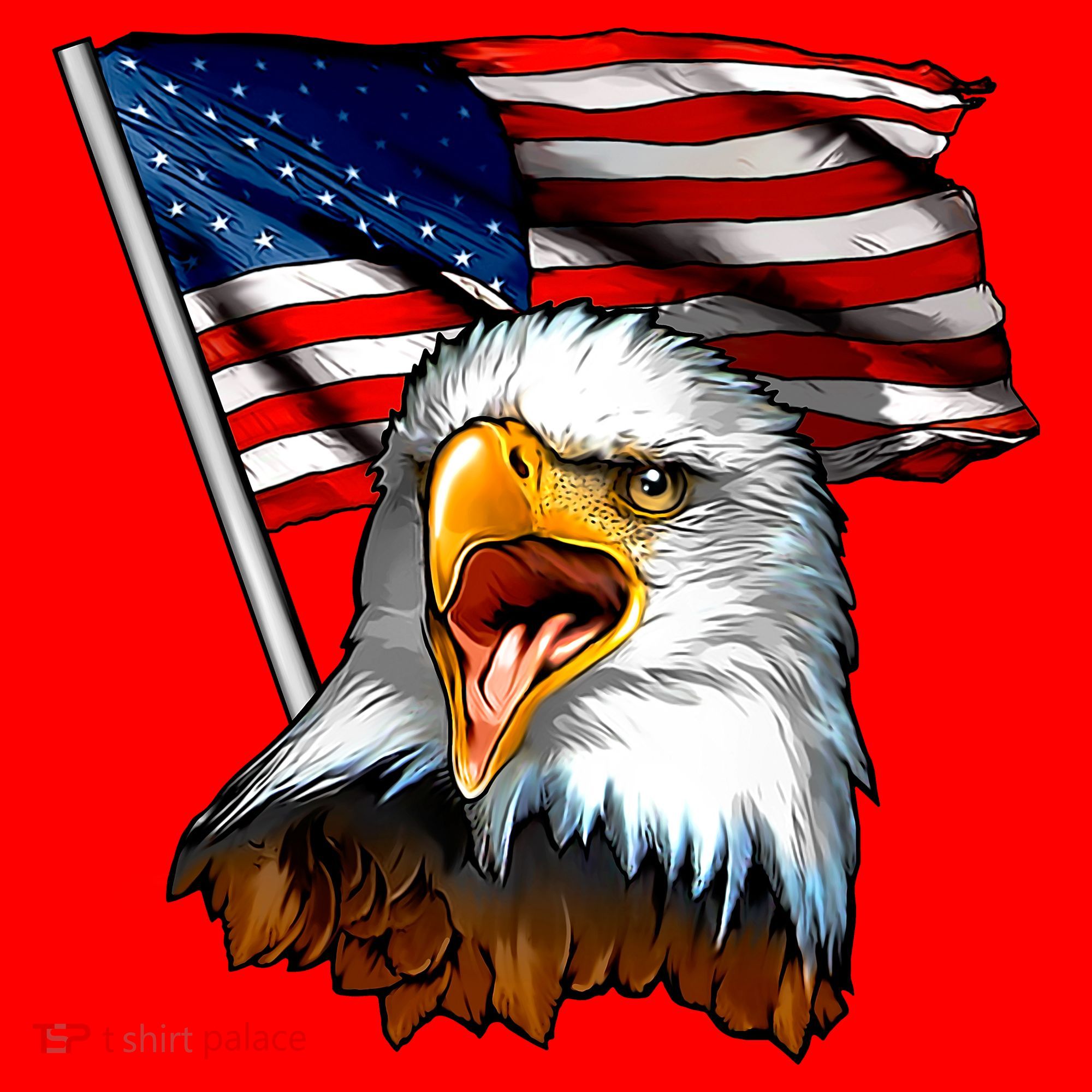 American Patriotic Eagle Flag Santa Hat