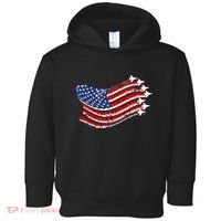 American Patriotic Fighter Jets Usa Flag Toddler Hoodie thumb 0