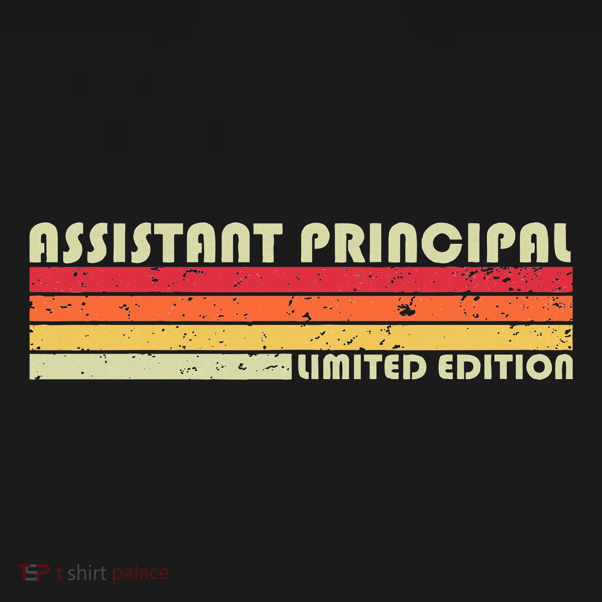 Assistant Principal Funny Job Title Birthday Worker Idea Women's T-Shirt