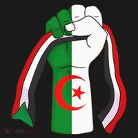 Algerian Palestinian Flag Algeria Stand With Palestine Hoodie thumb 7