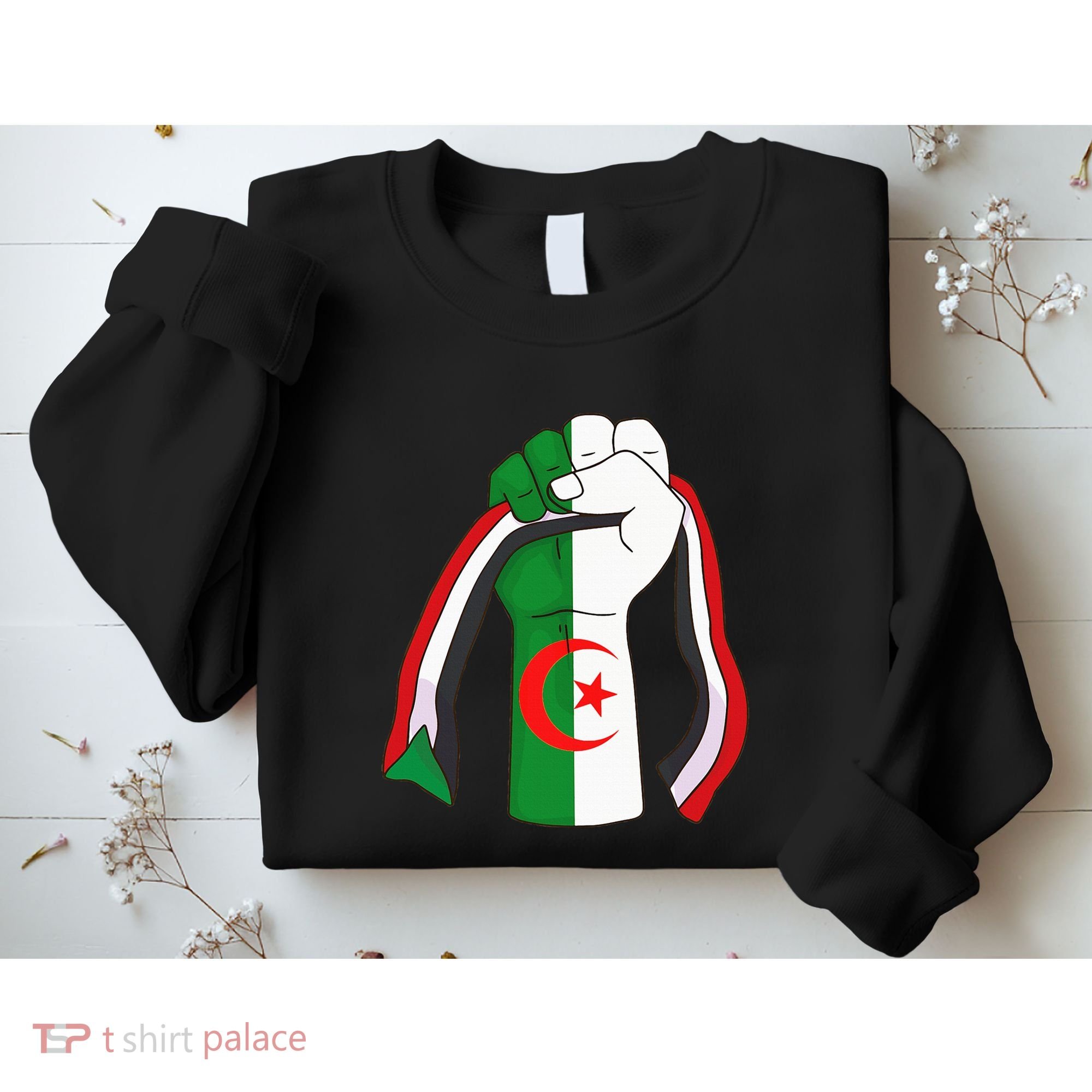 Algerian Palestinian Flag Algeria Stand With Palestine Sweatshirt