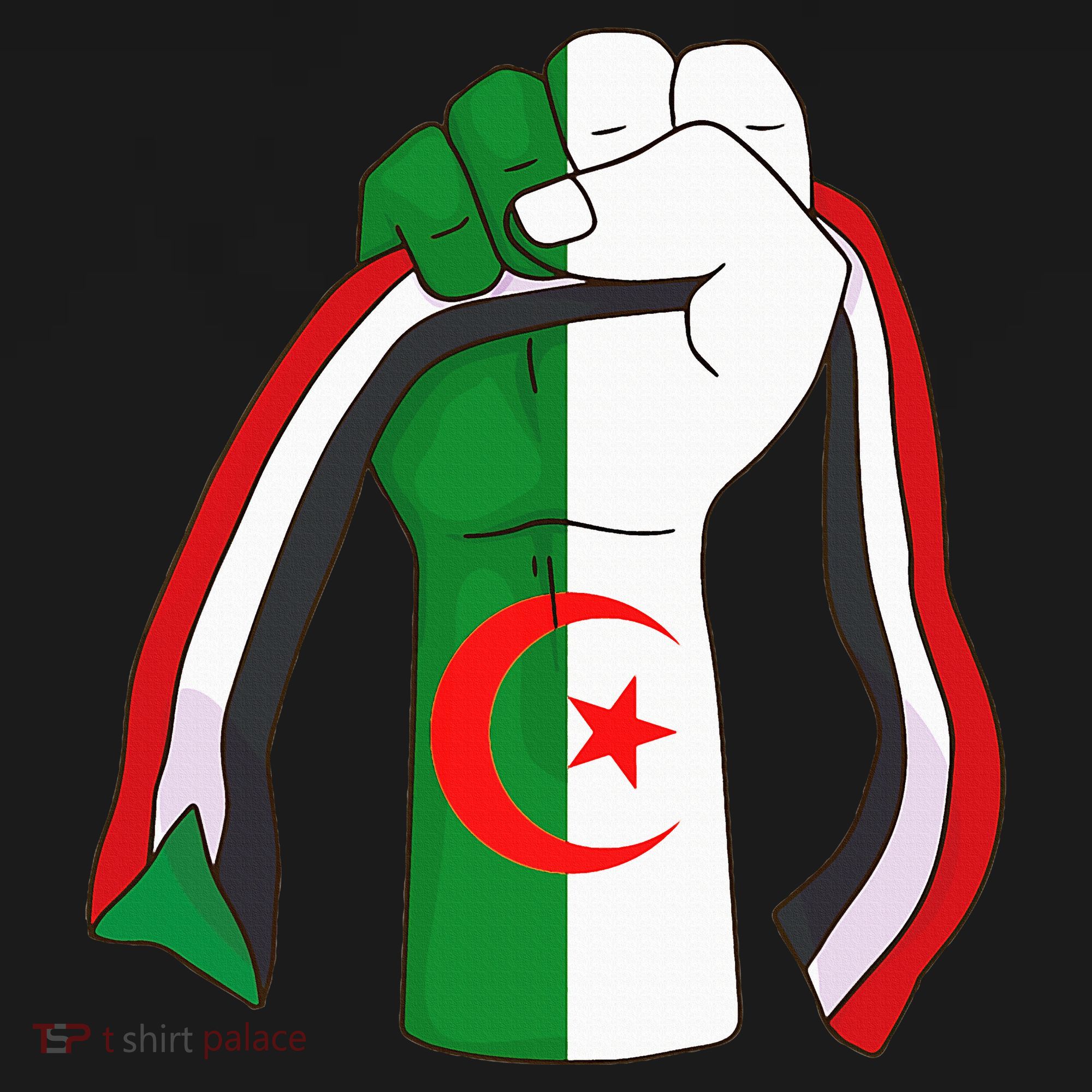 Algerian Palestinian Flag Algeria Stand With Palestine Sweatshirt