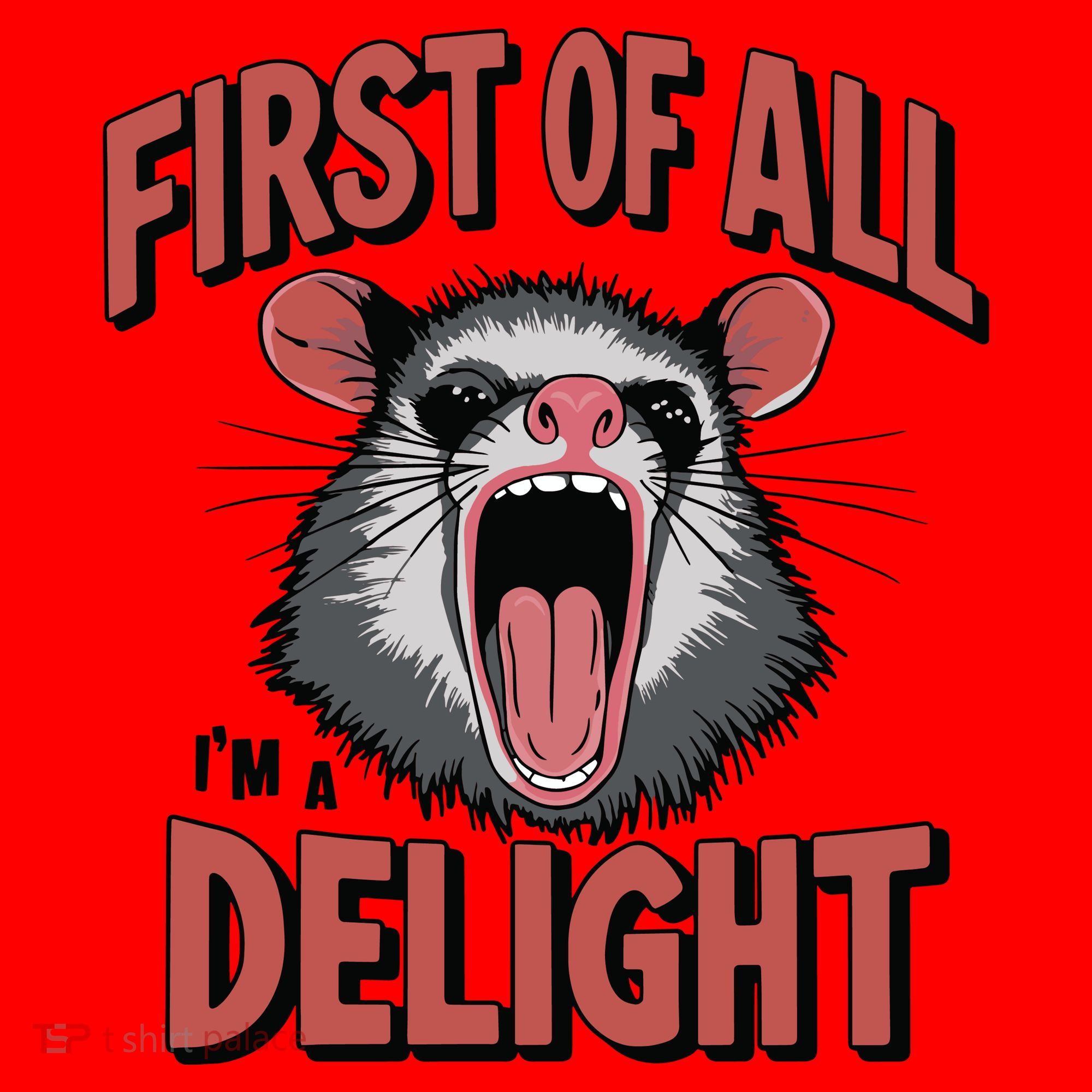 Angry Possum First Of All Im A Delight Possum Meme Santa Hat