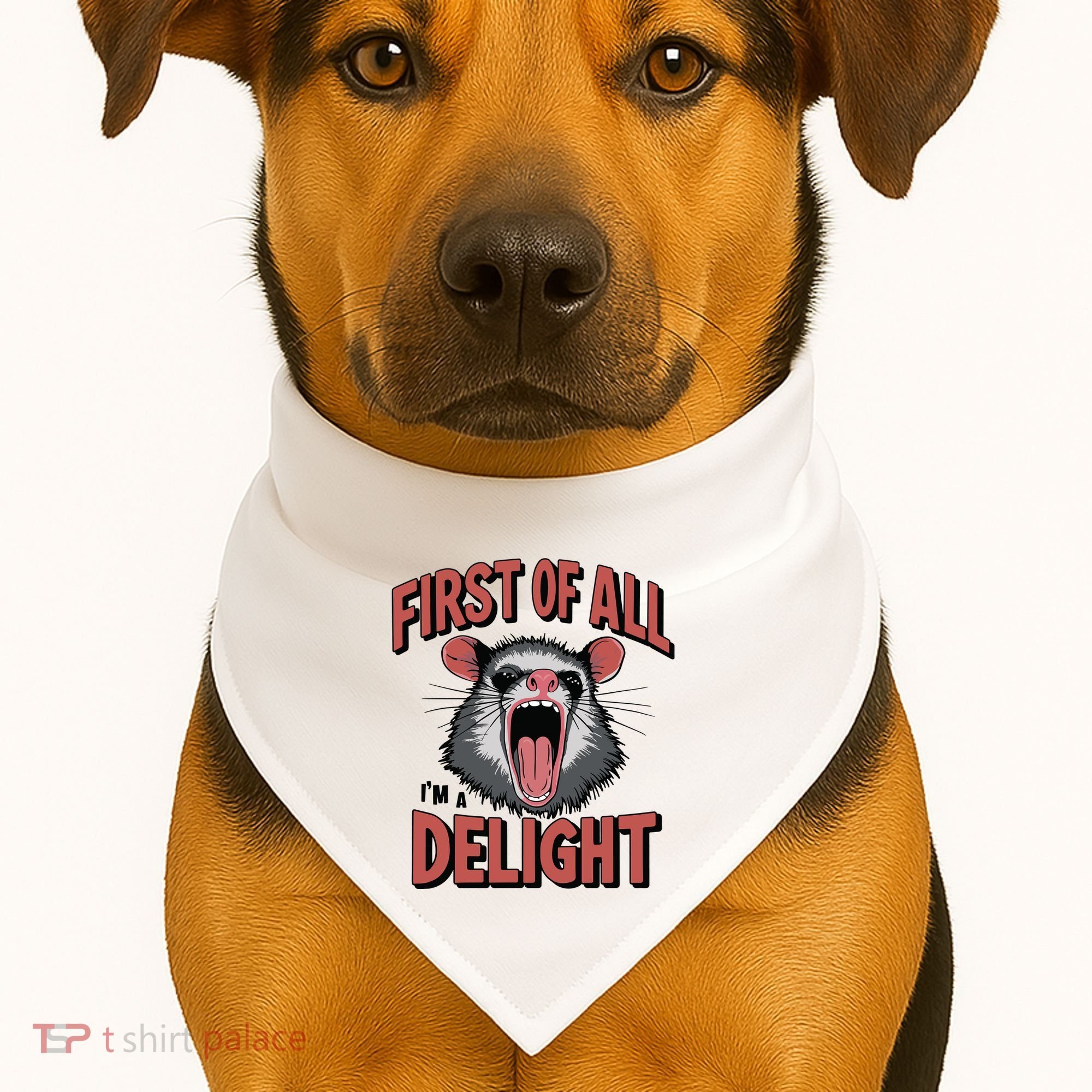 Angry Possum First Of All Im A Delight Possum Meme USA-Made Doggie Bandana