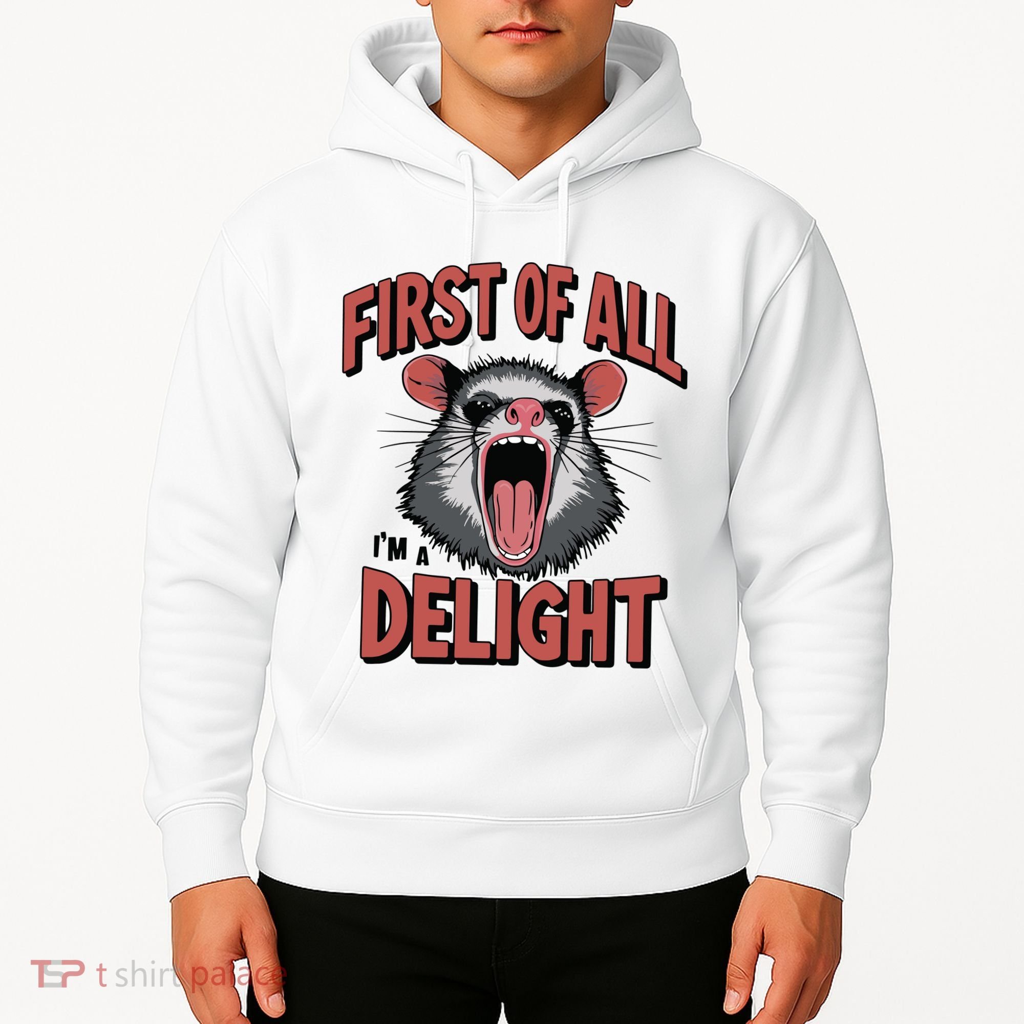 Angry Possum First Of All Im A Delight Possum Meme Hoodie