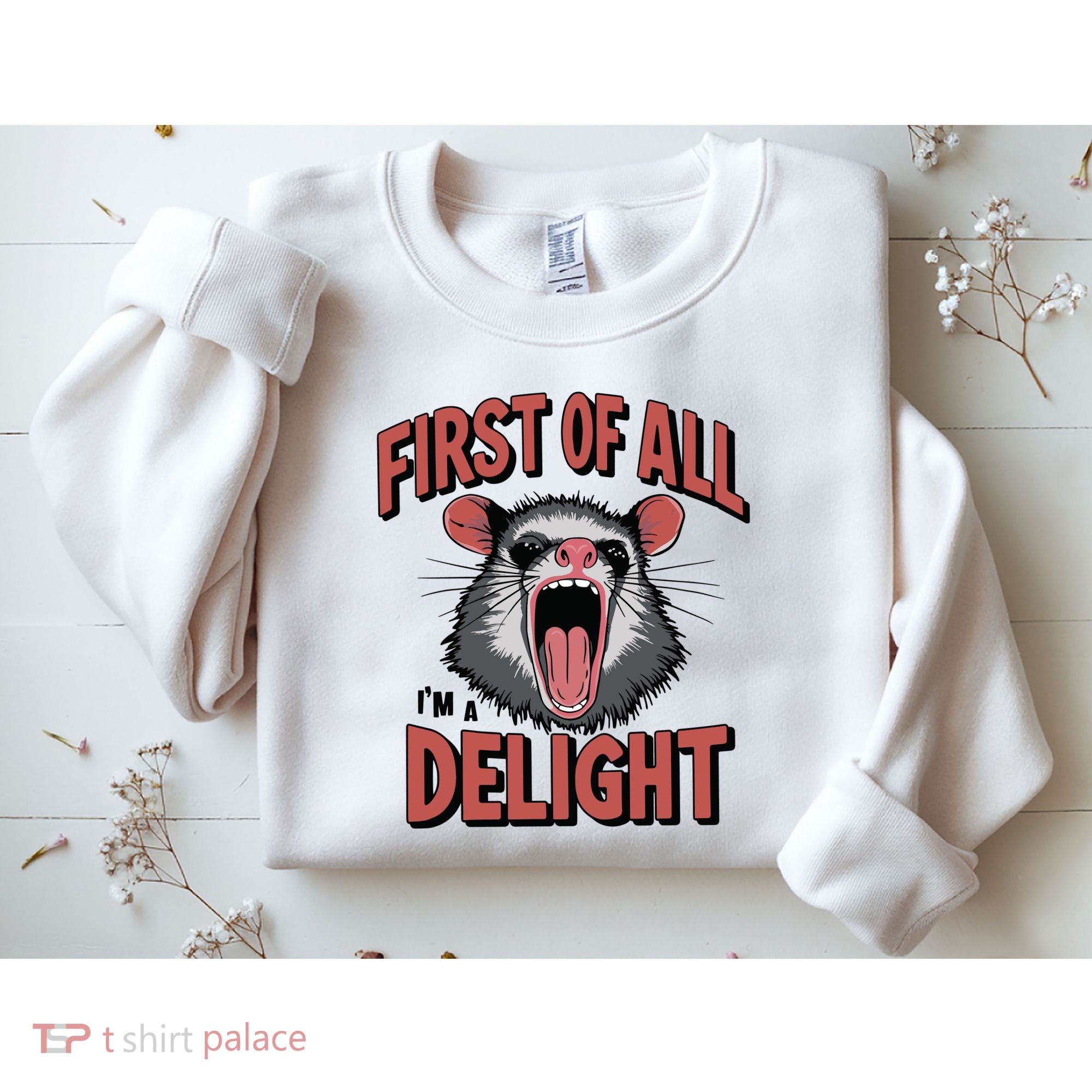 Angry Possum First Of All Im A Delight Possum Meme Sweatshirt