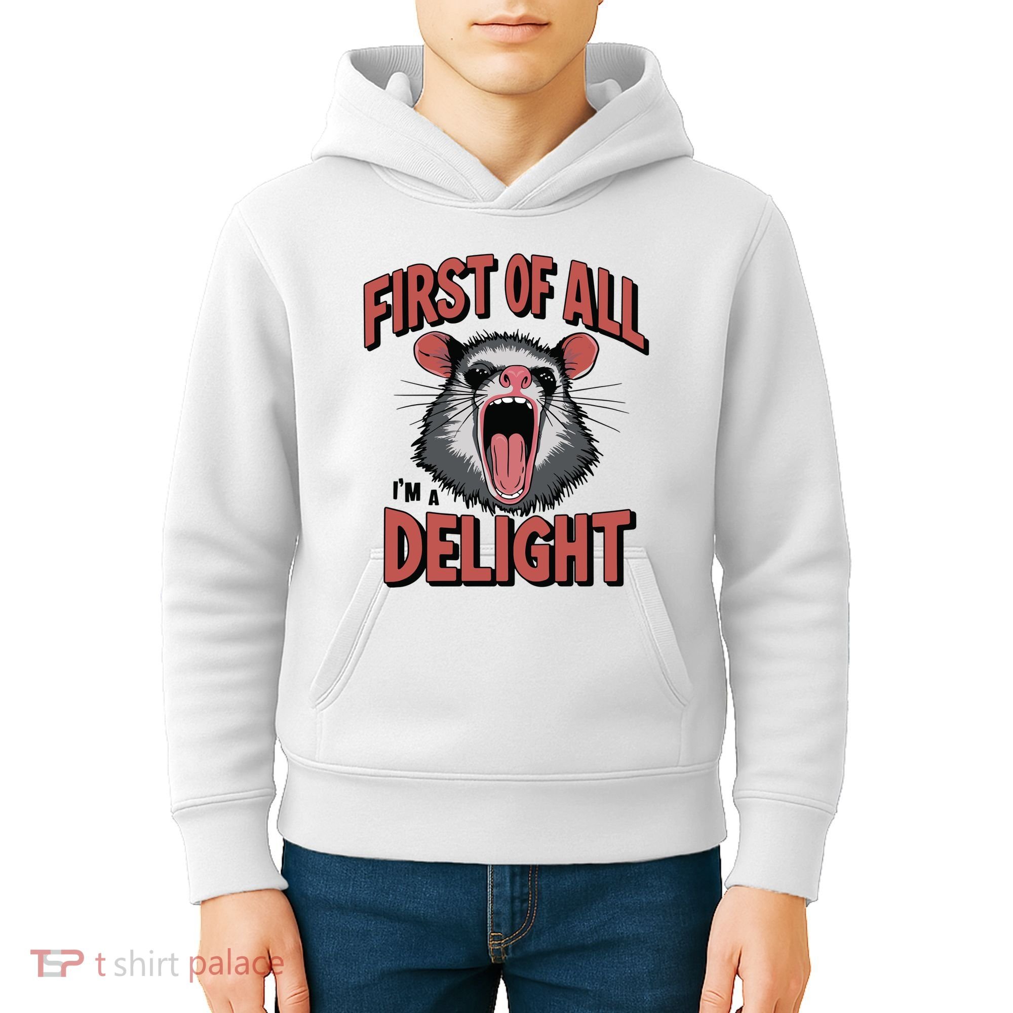 Angry Possum First Of All Im A Delight Possum Meme Kids Hoodie