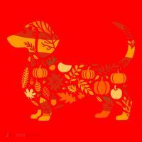Autumn Pumpkin Fall Dachshund Thanksgiving Santa Hat thumb 1