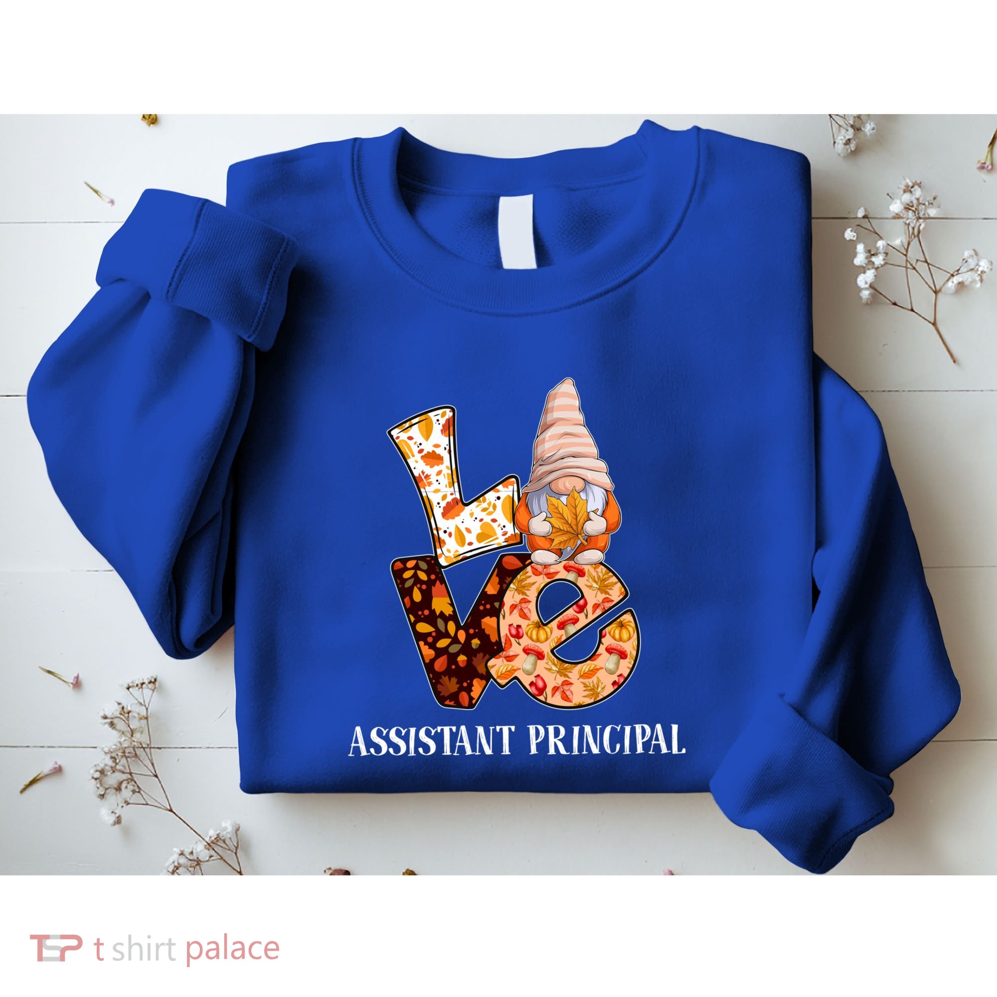 Assistant Principal Love Autumn Fall Gnome For Teachers Great Gift Sweatshirt