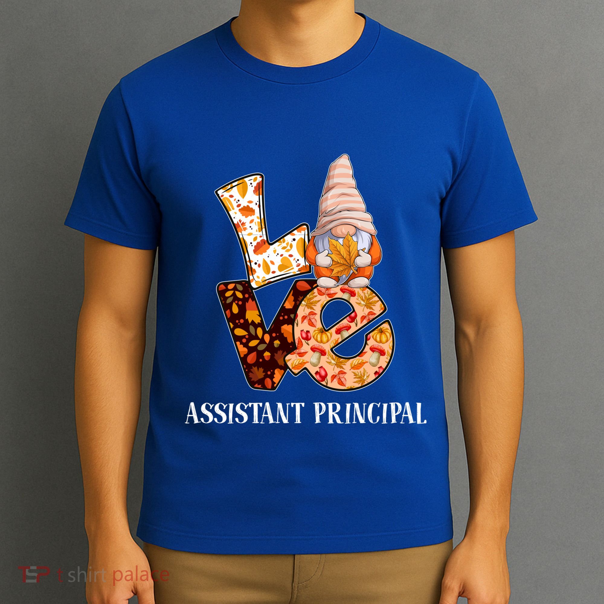 Assistant Principal Love Autumn Fall Gnome For Teachers Great Gift T-Shirt